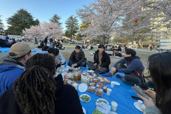 /../assets/images/posts/2025-04-14-cherry-blossom-party.jpeg