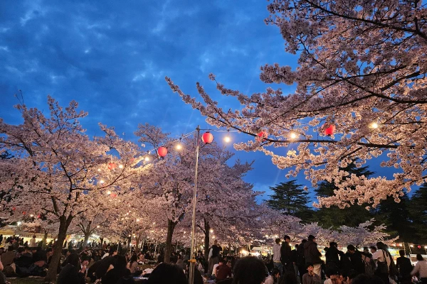 /../assets/images/posts/2026-04-09-cherry-blossom-welcome-farewell-party.jpg