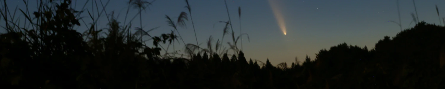 Posts